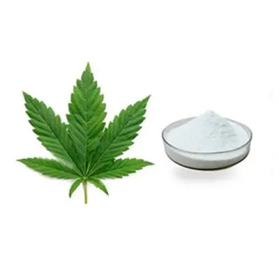 O sódio branco ácido do pó de Bmk Glycidic salga a pureza CAS 5449-12-7 de 99%
