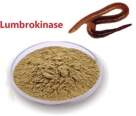 Matéria prima segura Lumbrokinase da entrega do extrato de API Raw Powder Low Price Lumbrokinase