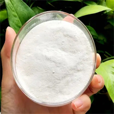 China Supply CAS 26787-78-0 Amoxicilina USP Antibióticos Antibacterianos