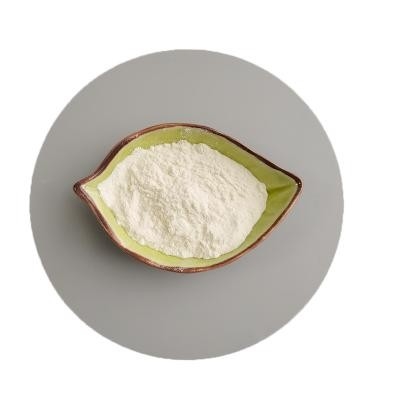 Wanjiang Dmha Pó / Cloridrato de 2-Amino-6-Metiheptano CAS 5984-59-8