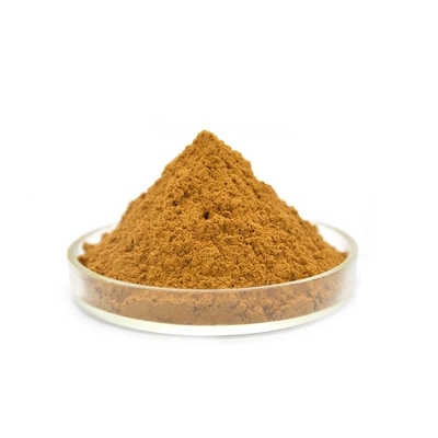 Matéria prima segura Lumbrokinase da entrega do extrato de API Raw Powder Low Price Lumbrokinase