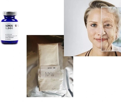 Mononucleotide antienvelhecimento CAS 1094-61-7 da nicotinamida da pureza alta de 99%