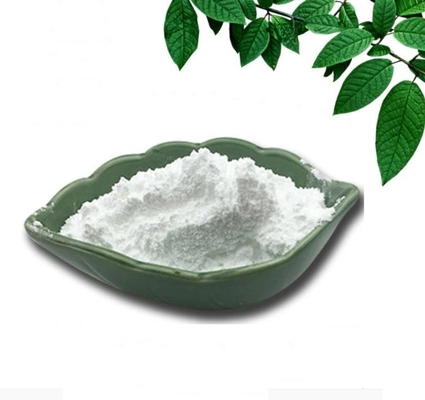 fornecedor de venda quente da porcelana da qualidade superior 613-93-4 N-METHYLBENZAMIDE
